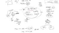 Stock Dividends